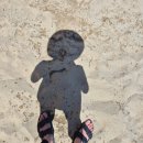 하조대해수욕장 야영장 | 양양 하조대해수욕장 파라솔, 샤워장 정보 +조개잡이