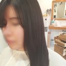 헤이주헤어