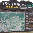테라이프