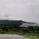 뿌리광장 이미지