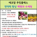 12.6(수)에코맘 쿠킹클래스(백향과 수제청)_오전10시30분_성인 대상 이미지