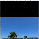 할라타 플레이스 이미지