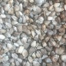 평화농장 이미지