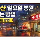 272-1007 | 울산 일요일 병원 찾는 방법 (주말 진료 병원·응급 병원 확인)