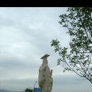 실크로드민박 이미지