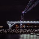 (주)송도해상케이블카 이미지