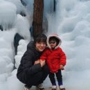 상소 유아숲체험원 이미지