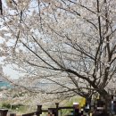 충훈매점