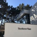 에그하우스 | 영종도 대형 베이커리 카페 ‘베토벤 하우스’ 내돈내산 솔직후기