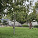 뚝섬한강공원-48 이미지