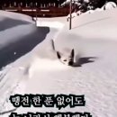 한잔어때 Daum카페