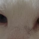 나에게 온날 이미지