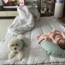 나미테이블 이미지