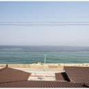 진복롯찌 이미지