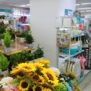 다이소 범서점 이미지