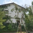 카페 슬루프(cafe sloop) | 카페 슬루프 (cafe Sloop)