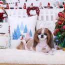 아콩하우스 이미지