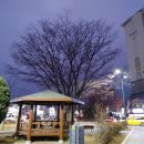 느티나무사거리 이미지