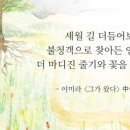 핑크스토리 - 진천군 중앙동6길 20 | 핑크스토리