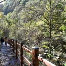 항골계곡 이미지