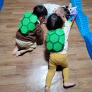 주은색동원어린이집 | 서구 연희동어린이집 평가제A등급 주은색동원어린이집