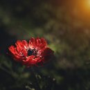 석화한우식육식당 이미지