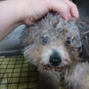 서전주중학교 이미지