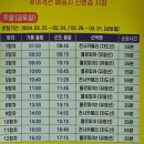 2025년 섬 수선화축제 | 2025년 전남 봄 축제 신안 섬 선도 수선화 축제 가룡항 신월항 배편 운항시간 일시 입장료 가볼 만한 곳