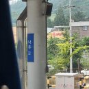 평화로옛집 | 나혼자산다 목포여행 : 팜유세미나 맛집체험&amp;뚜벅이 1박2일 코스 (유달콩물,쑥꿀레,독천골낙지,백성식당)