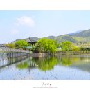 곡성-258 이미지