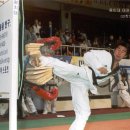 용인대 국가대표 태권도 이미지