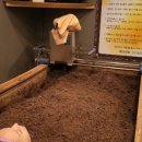 스파레이 이미지