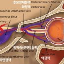 경희미한의원 네이버블로그