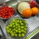 조아라청과 이미지