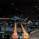 파스쿠찌 센트로광안리점 이미지