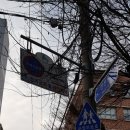 주정차-36 이미지