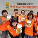 행복하개 반려동물 센터 케이에스피뉴스