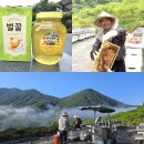 황금상회 이미지