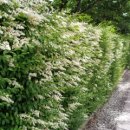 희망의아침 이미지