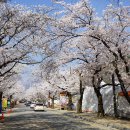 공주-50 이미지