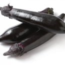 풍치축산 네이버블로그