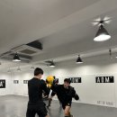 ART OF MMA 도산점 이미지