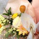 바바루아 법원점 | 순천 바바루아법원점 오로지딸기 케이크