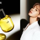 아도르(ADOR)