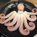 먹물 | 창원 상남동 문어샤브 맛집 먹물집 솔직 후기