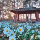 꽃두레행복마을 이미지