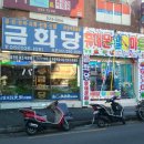 금화당 Daum카페