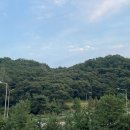 육쌈냉면민락2지구점