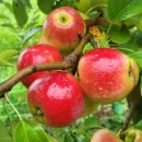 경기농장 이미지