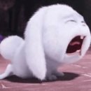 J하우스 이미지